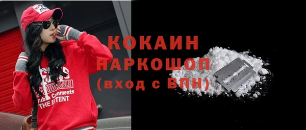 амф Краснослободск