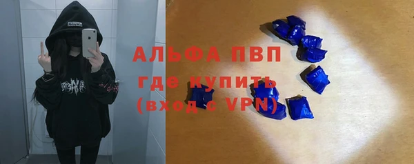 стафф Ладушкин