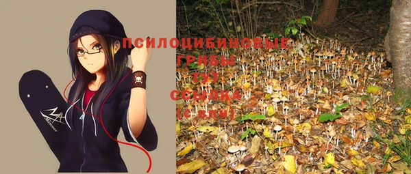 эйфоретик Куйбышев