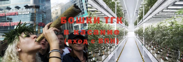 стафф Ладушкин